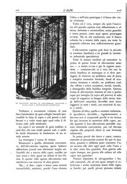 L'alpe rivista forestale italiana fondata dalla Società emiliana pro-montibus et sylvis