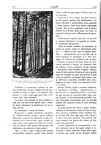 giornale/TO00174164/1929/unico/00000238