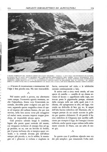 L'alpe rivista forestale italiana fondata dalla Società emiliana pro-montibus et sylvis