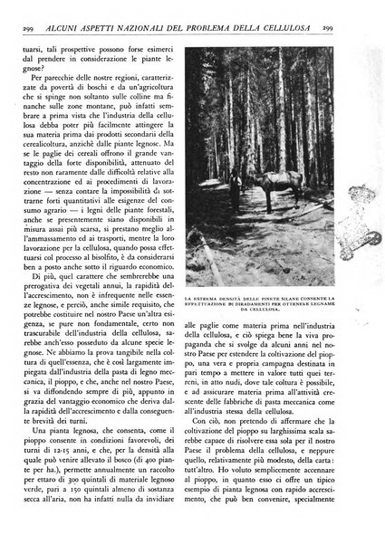 L'alpe rivista forestale italiana fondata dalla Società emiliana pro-montibus et sylvis