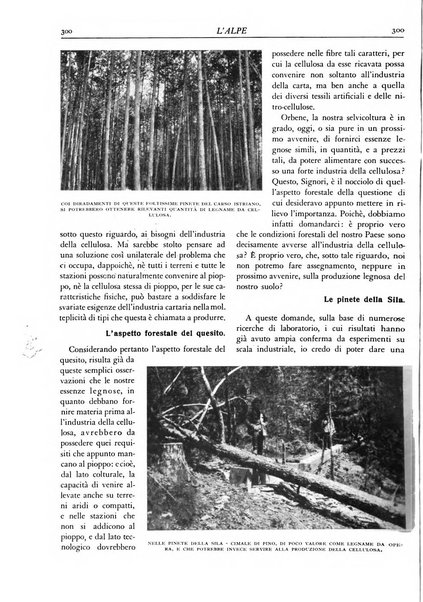 L'alpe rivista forestale italiana fondata dalla Società emiliana pro-montibus et sylvis