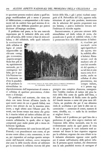 L'alpe rivista forestale italiana fondata dalla Società emiliana pro-montibus et sylvis