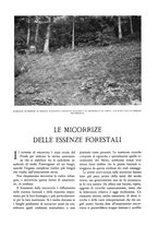 giornale/TO00174164/1929/unico/00000281