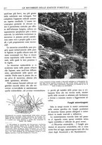 giornale/TO00174164/1929/unico/00000283
