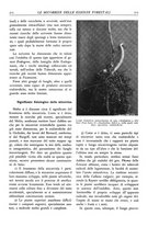 giornale/TO00174164/1929/unico/00000285