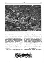 giornale/TO00174164/1929/unico/00000348