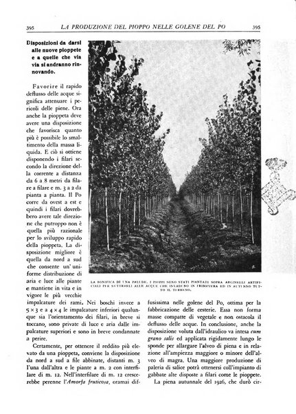 L'alpe rivista forestale italiana fondata dalla Società emiliana pro-montibus et sylvis