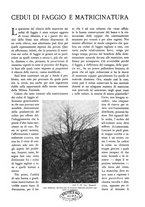 giornale/TO00174164/1929/unico/00000393