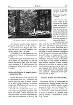 giornale/TO00174164/1929/unico/00000396