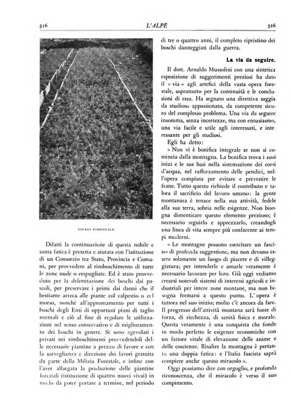 L'alpe rivista forestale italiana fondata dalla Società emiliana pro-montibus et sylvis