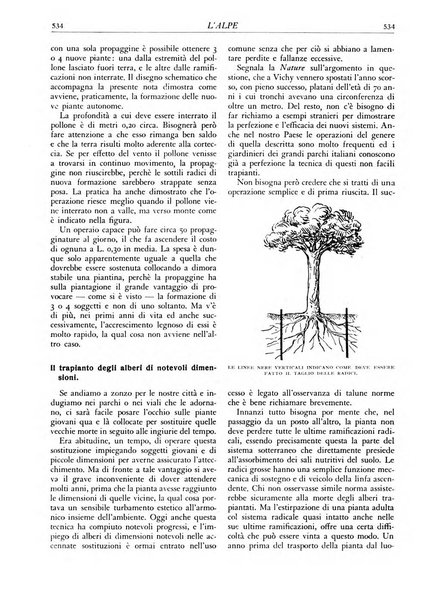 L'alpe rivista forestale italiana fondata dalla Società emiliana pro-montibus et sylvis