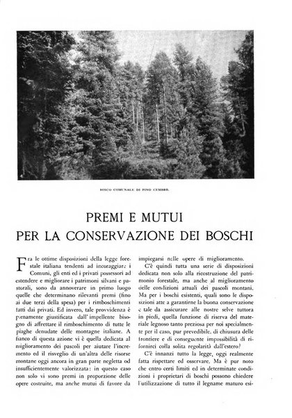 L'alpe rivista forestale italiana fondata dalla Società emiliana pro-montibus et sylvis