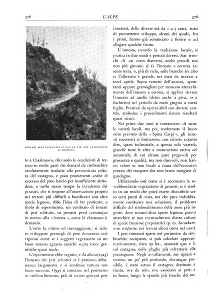 L'alpe rivista forestale italiana fondata dalla Società emiliana pro-montibus et sylvis