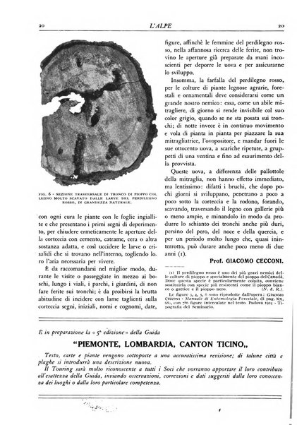 L'alpe rivista forestale italiana fondata dalla Società emiliana pro-montibus et sylvis