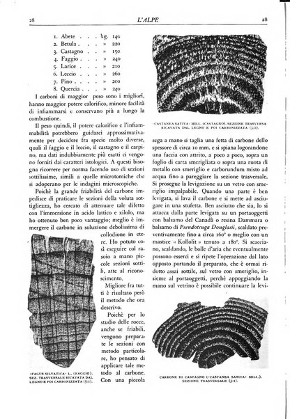 L'alpe rivista forestale italiana fondata dalla Società emiliana pro-montibus et sylvis