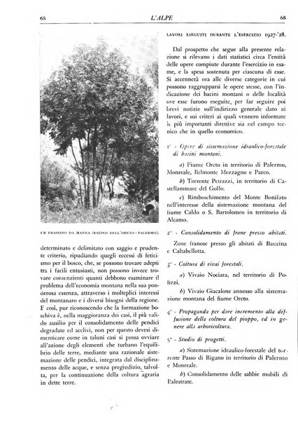 L'alpe rivista forestale italiana fondata dalla Società emiliana pro-montibus et sylvis