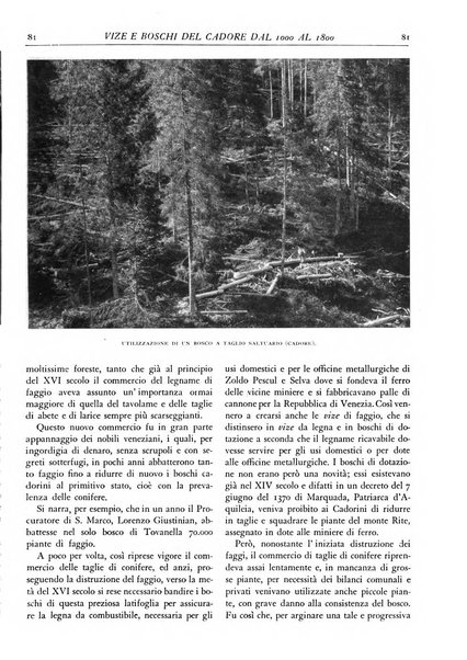 L'alpe rivista forestale italiana fondata dalla Società emiliana pro-montibus et sylvis