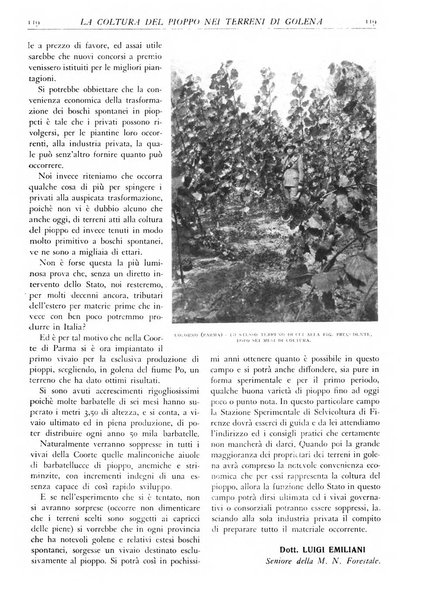 L'alpe rivista forestale italiana fondata dalla Società emiliana pro-montibus et sylvis