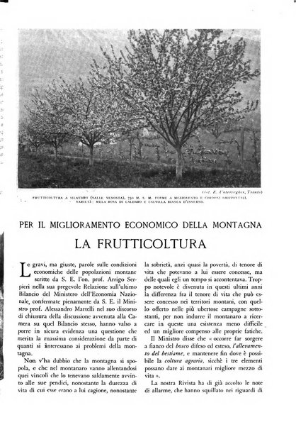 L'alpe rivista forestale italiana fondata dalla Società emiliana pro-montibus et sylvis