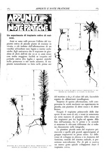 L'alpe rivista forestale italiana fondata dalla Società emiliana pro-montibus et sylvis