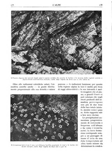 L'alpe rivista forestale italiana fondata dalla Società emiliana pro-montibus et sylvis