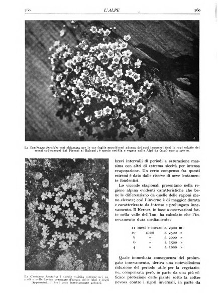 L'alpe rivista forestale italiana fondata dalla Società emiliana pro-montibus et sylvis