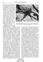 giornale/TO00174164/1930/unico/00000291