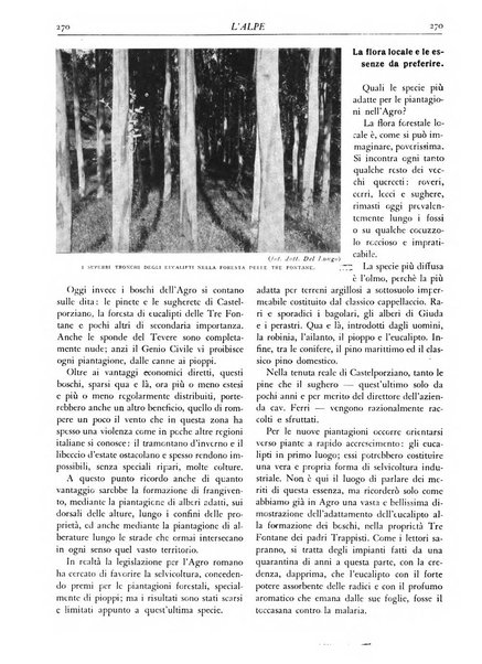 L'alpe rivista forestale italiana fondata dalla Società emiliana pro-montibus et sylvis