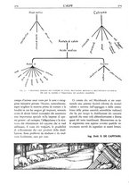 giornale/TO00174164/1930/unico/00000334