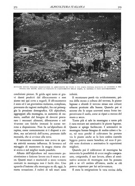 L'alpe rivista forestale italiana fondata dalla Società emiliana pro-montibus et sylvis