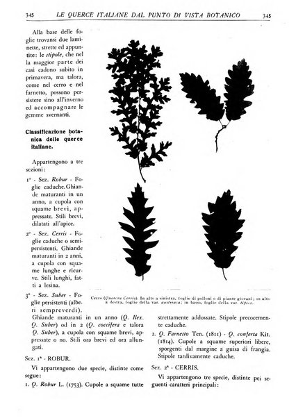 L'alpe rivista forestale italiana fondata dalla Società emiliana pro-montibus et sylvis