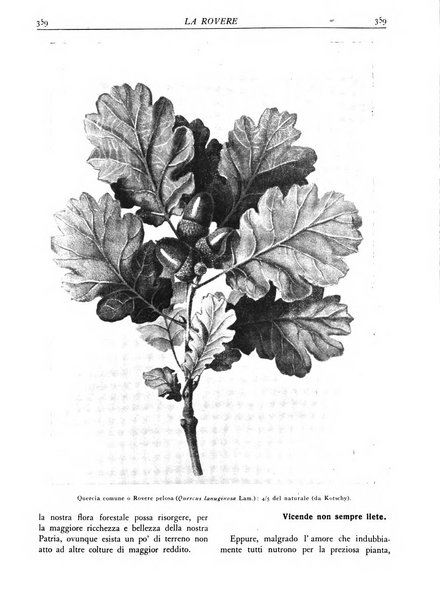 L'alpe rivista forestale italiana fondata dalla Società emiliana pro-montibus et sylvis