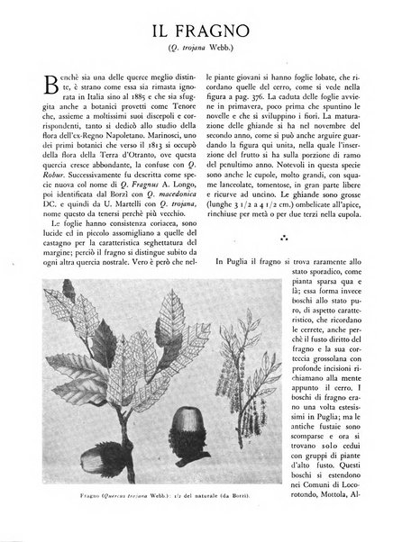 L'alpe rivista forestale italiana fondata dalla Società emiliana pro-montibus et sylvis