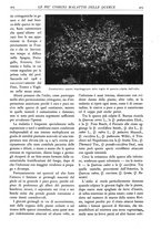 giornale/TO00174164/1930/unico/00000437