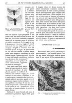 giornale/TO00174164/1930/unico/00000439