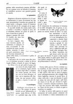 giornale/TO00174164/1930/unico/00000442