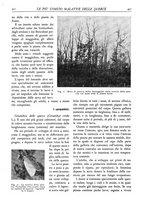 giornale/TO00174164/1930/unico/00000445