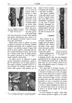 giornale/TO00174164/1930/unico/00000446