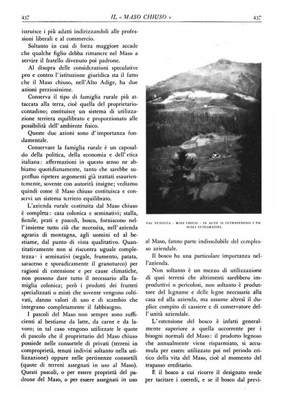 L'alpe rivista forestale italiana fondata dalla Società emiliana pro-montibus et sylvis