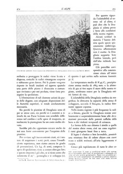 L'alpe rivista forestale italiana fondata dalla Società emiliana pro-montibus et sylvis