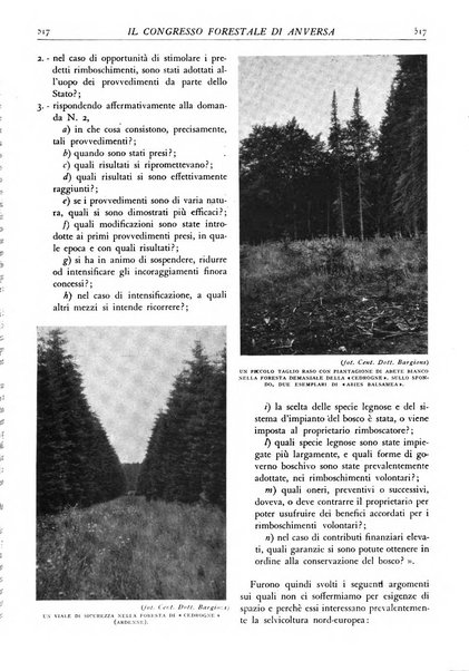 L'alpe rivista forestale italiana fondata dalla Società emiliana pro-montibus et sylvis