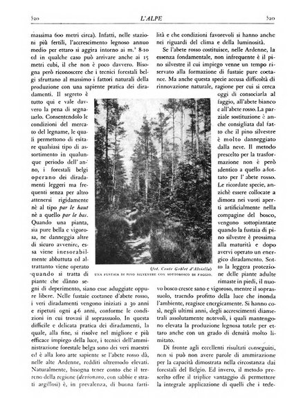 L'alpe rivista forestale italiana fondata dalla Società emiliana pro-montibus et sylvis