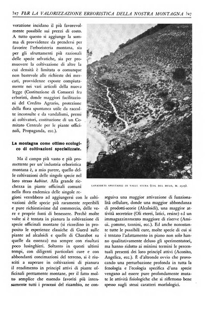 L'alpe rivista forestale italiana fondata dalla Società emiliana pro-montibus et sylvis