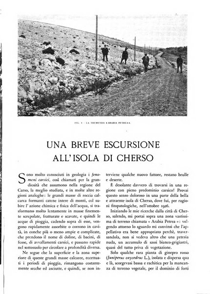 L'alpe rivista forestale italiana fondata dalla Società emiliana pro-montibus et sylvis