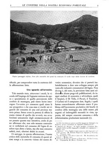 L'alpe rivista forestale italiana fondata dalla Società emiliana pro-montibus et sylvis