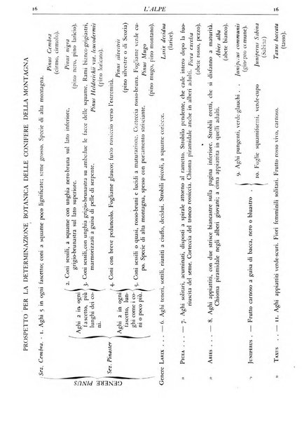 L'alpe rivista forestale italiana fondata dalla Società emiliana pro-montibus et sylvis