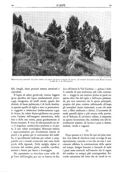 L'alpe rivista forestale italiana fondata dalla Società emiliana pro-montibus et sylvis