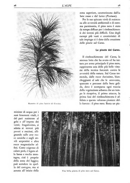 L'alpe rivista forestale italiana fondata dalla Società emiliana pro-montibus et sylvis