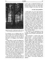 giornale/TO00174164/1931/unico/00000086