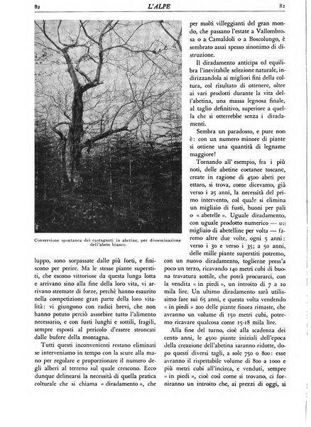 L'alpe rivista forestale italiana fondata dalla Società emiliana pro-montibus et sylvis